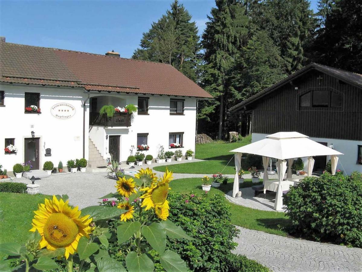 Ferienwohnung Hopfinger Hohenau Exterior foto